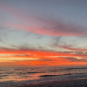 Meet your Posher, Sophie